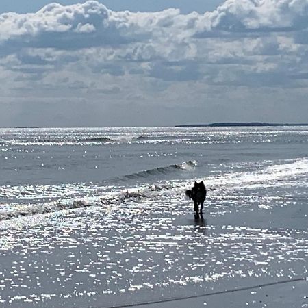 Ferienwohnungen Goehren Urlaub Mit Hund 外观 照片