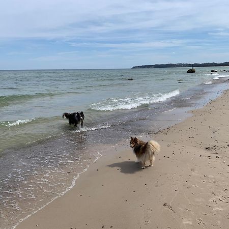 Ferienwohnungen Goehren Urlaub Mit Hund 外观 照片