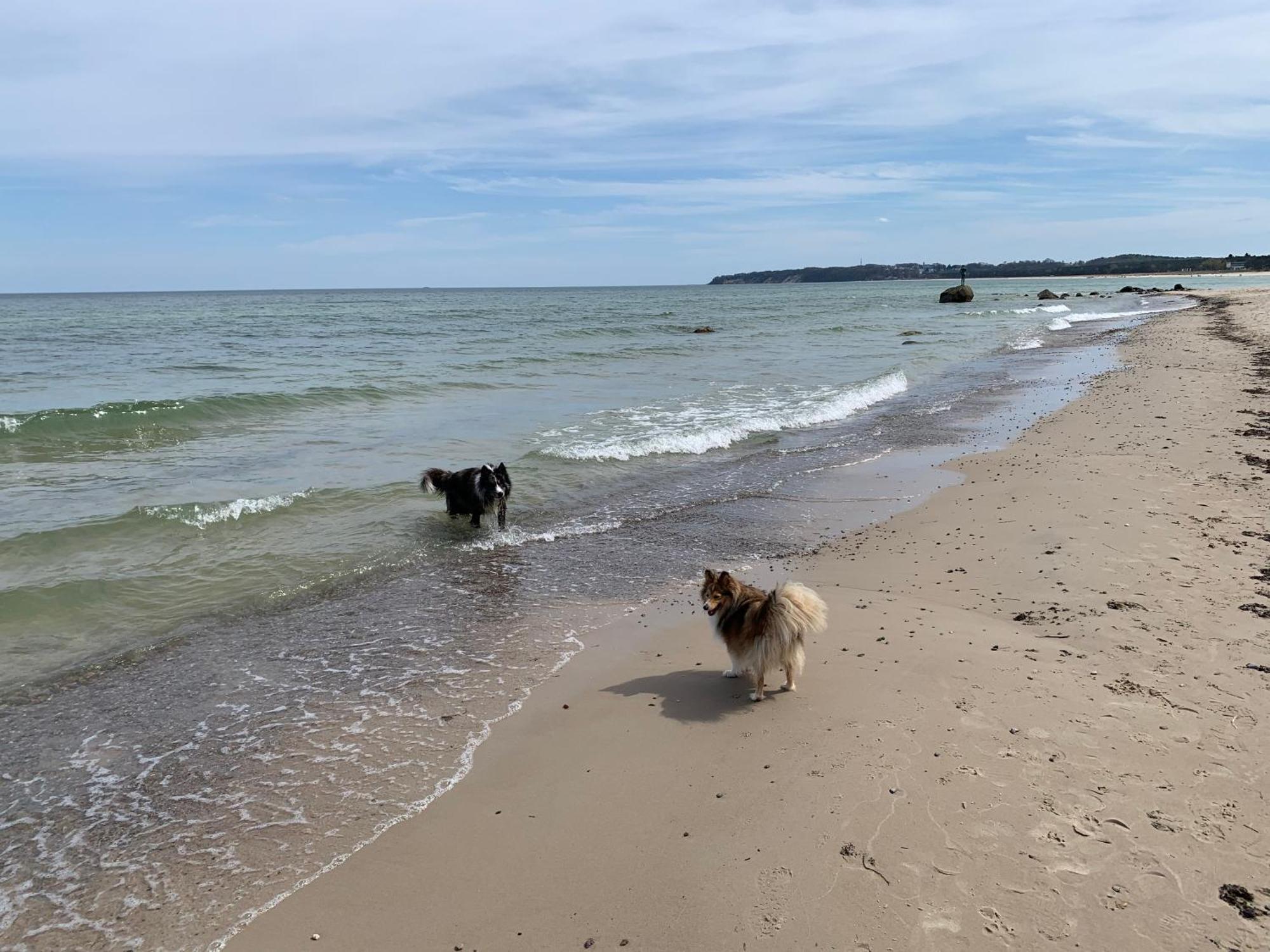 Ferienwohnungen Goehren Urlaub Mit Hund 外观 照片